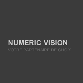 logo numericvision